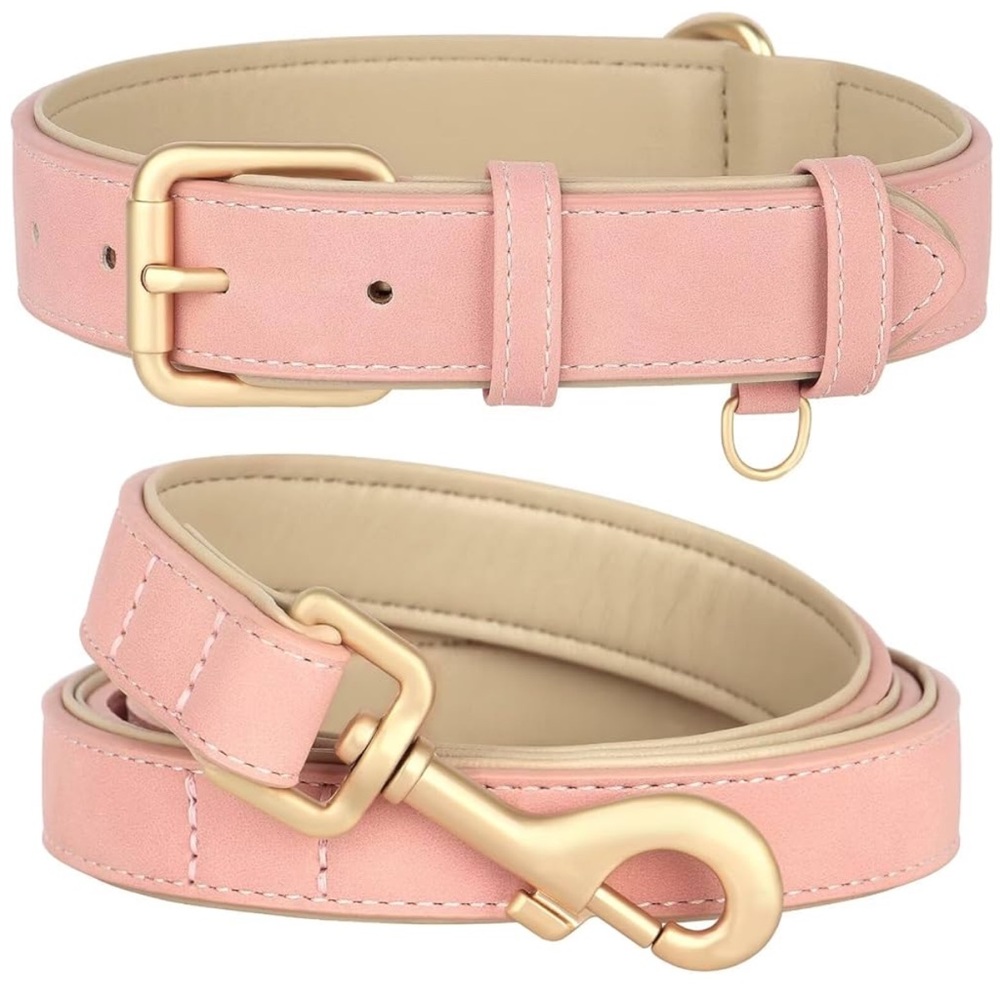 Soft Pink Padded Leather Dog Collar & 4 ft Leash Size Med (11-15 in. Neck)